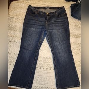 Maurices boot cut jeans